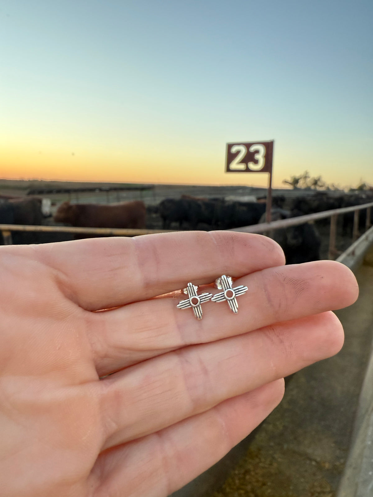 Zia Symbol Little Bitty Studs
