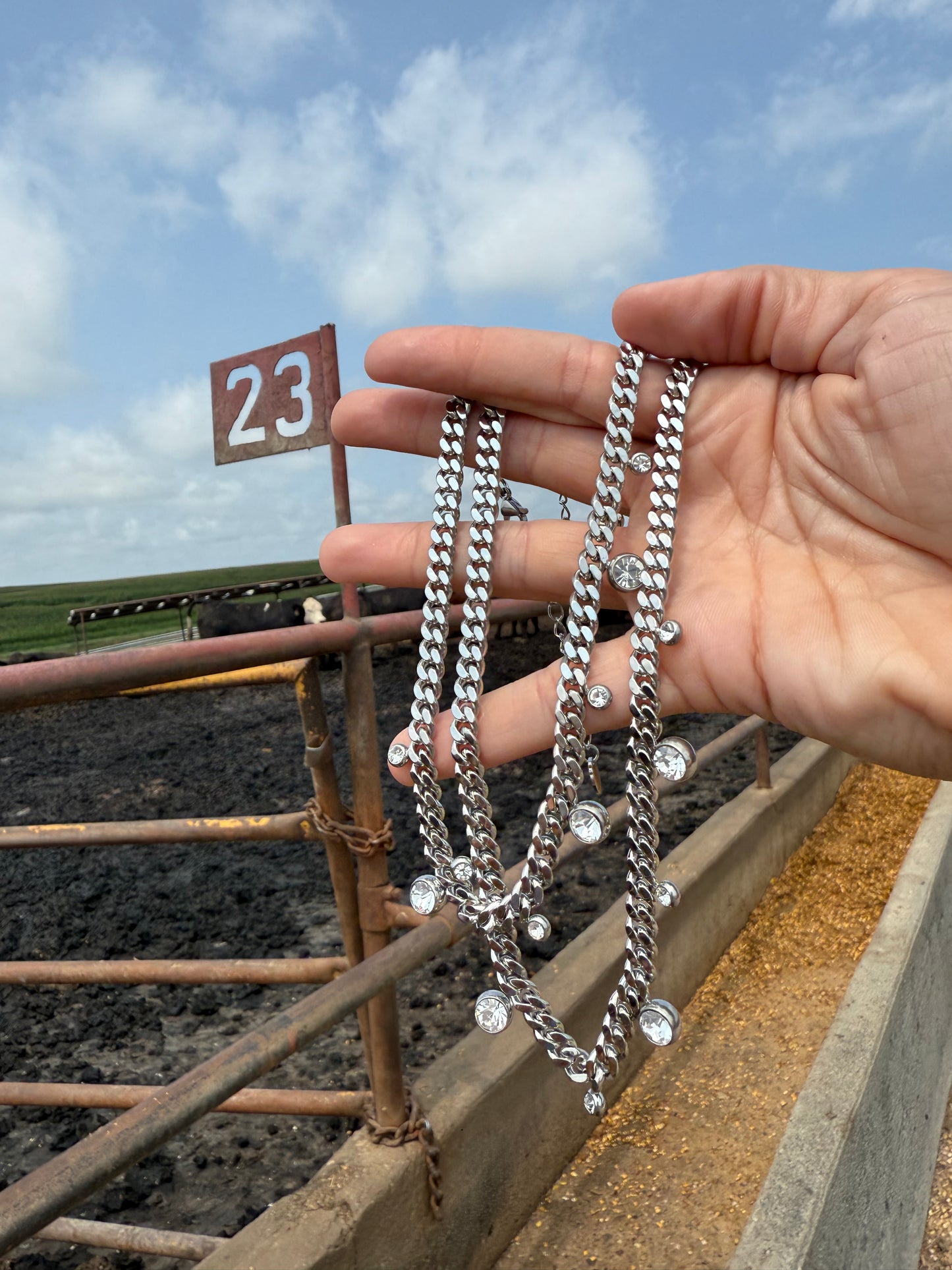 Curb Chain