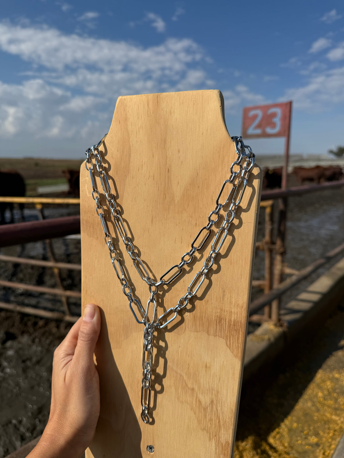 17” Lariat Necklace