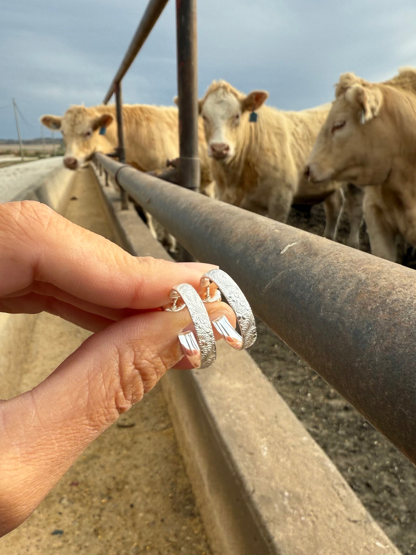 Feathered Stud Hoops