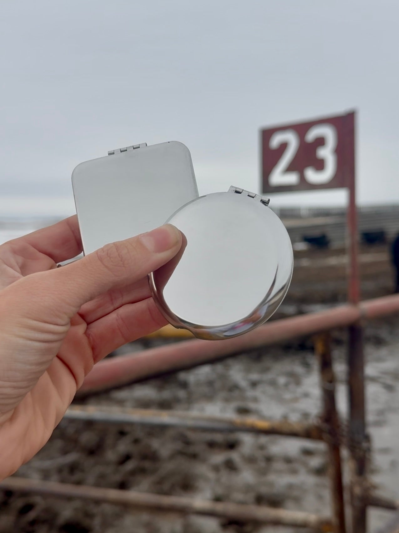 Silver Glow Compact Mirror