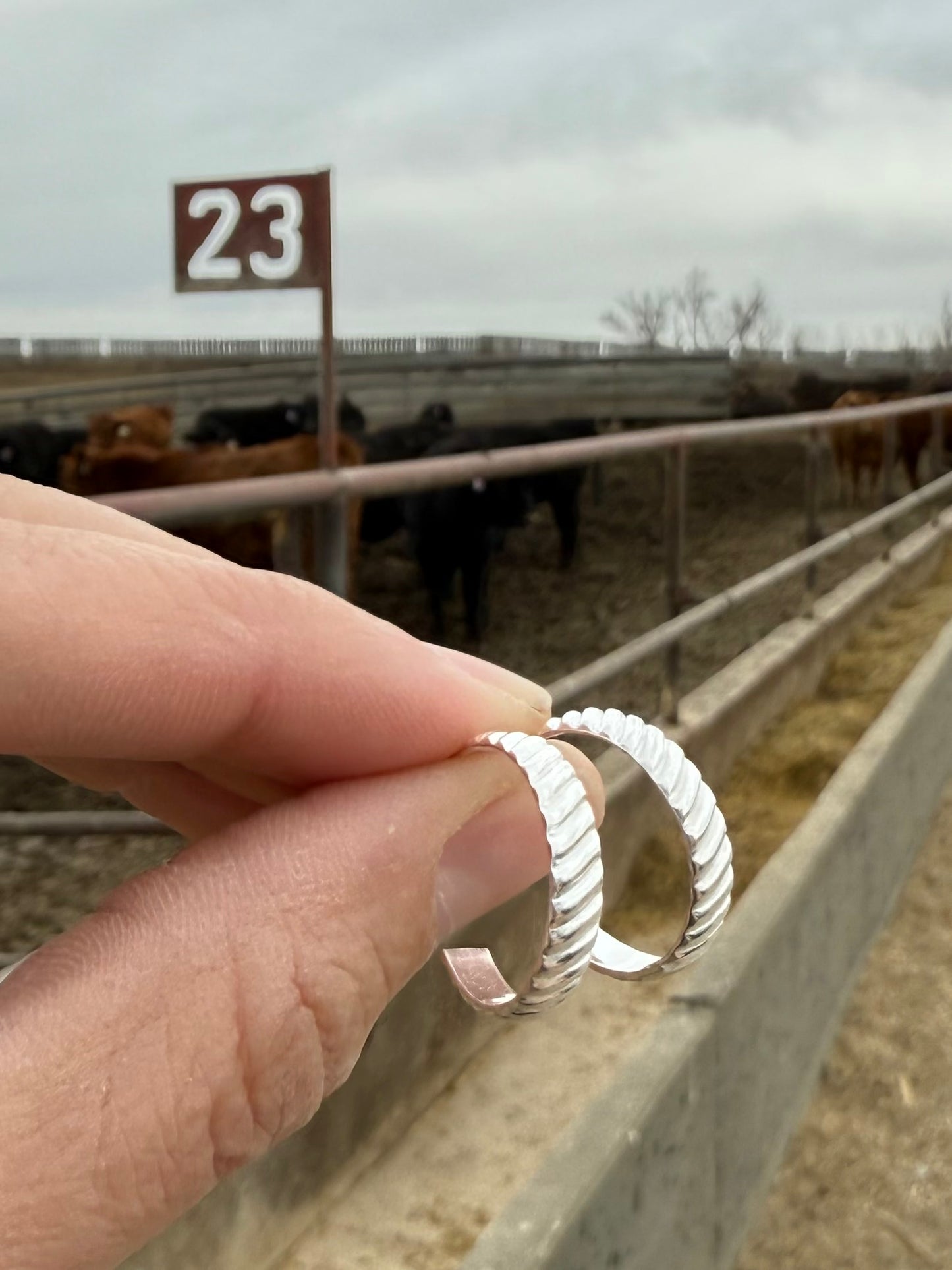 Striped Band Stud Hoops