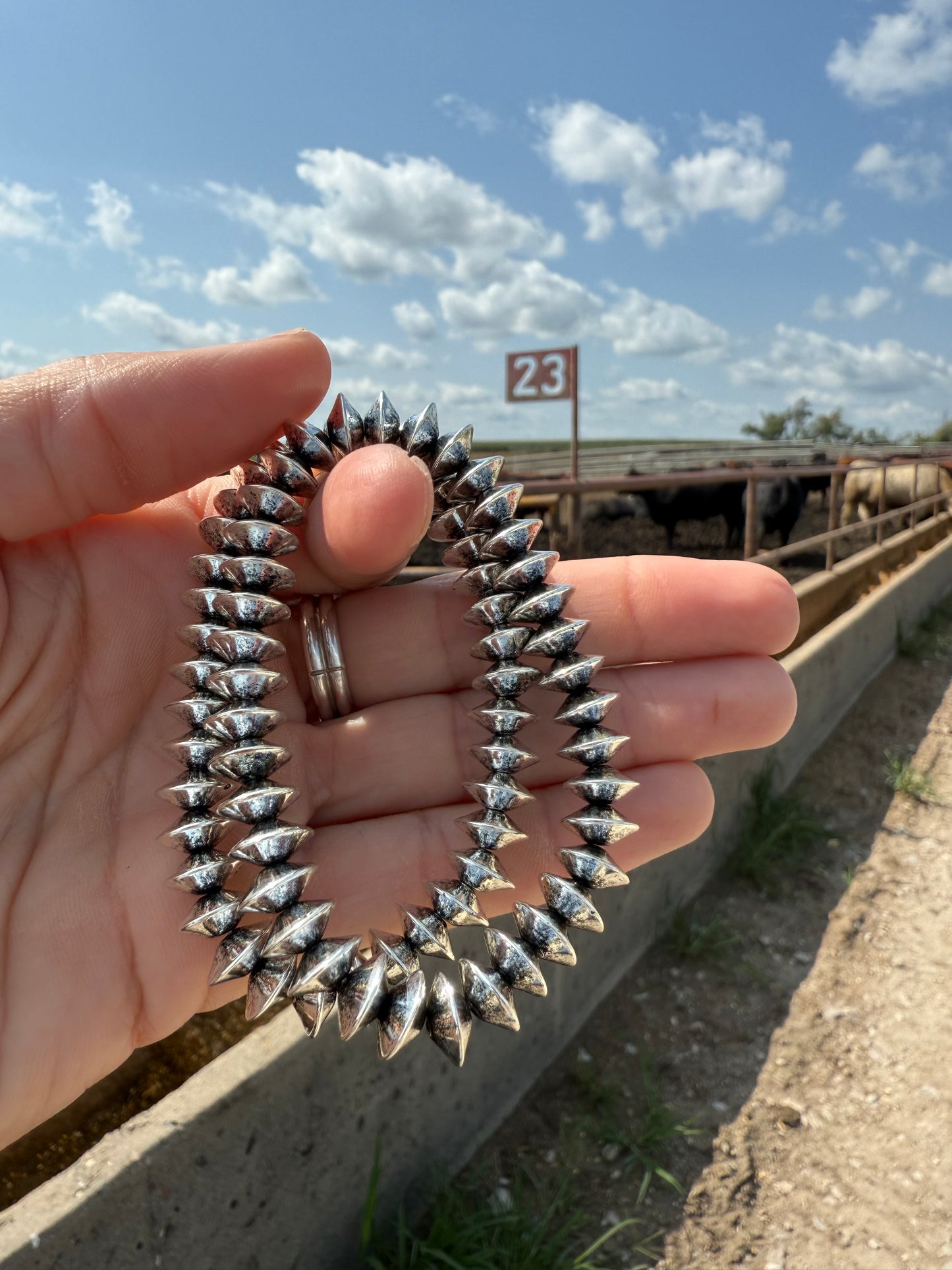 Ray Bracelets (set of 2)