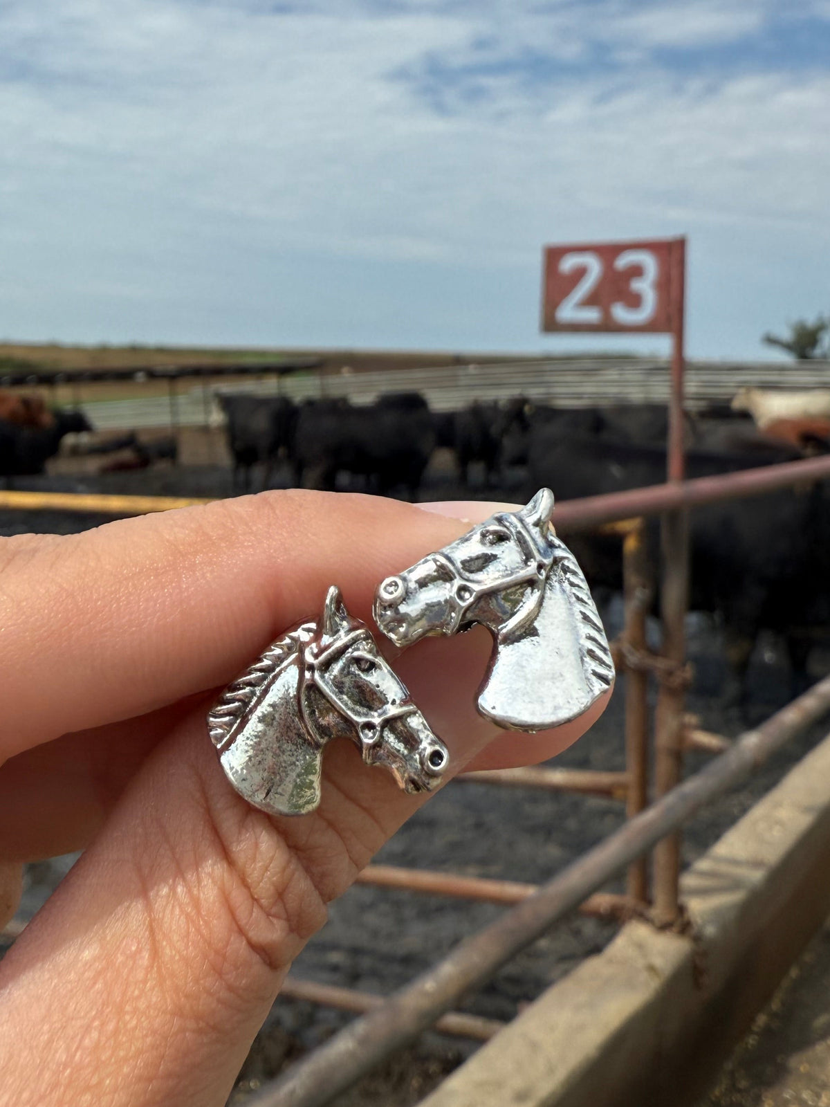 Horse Studs