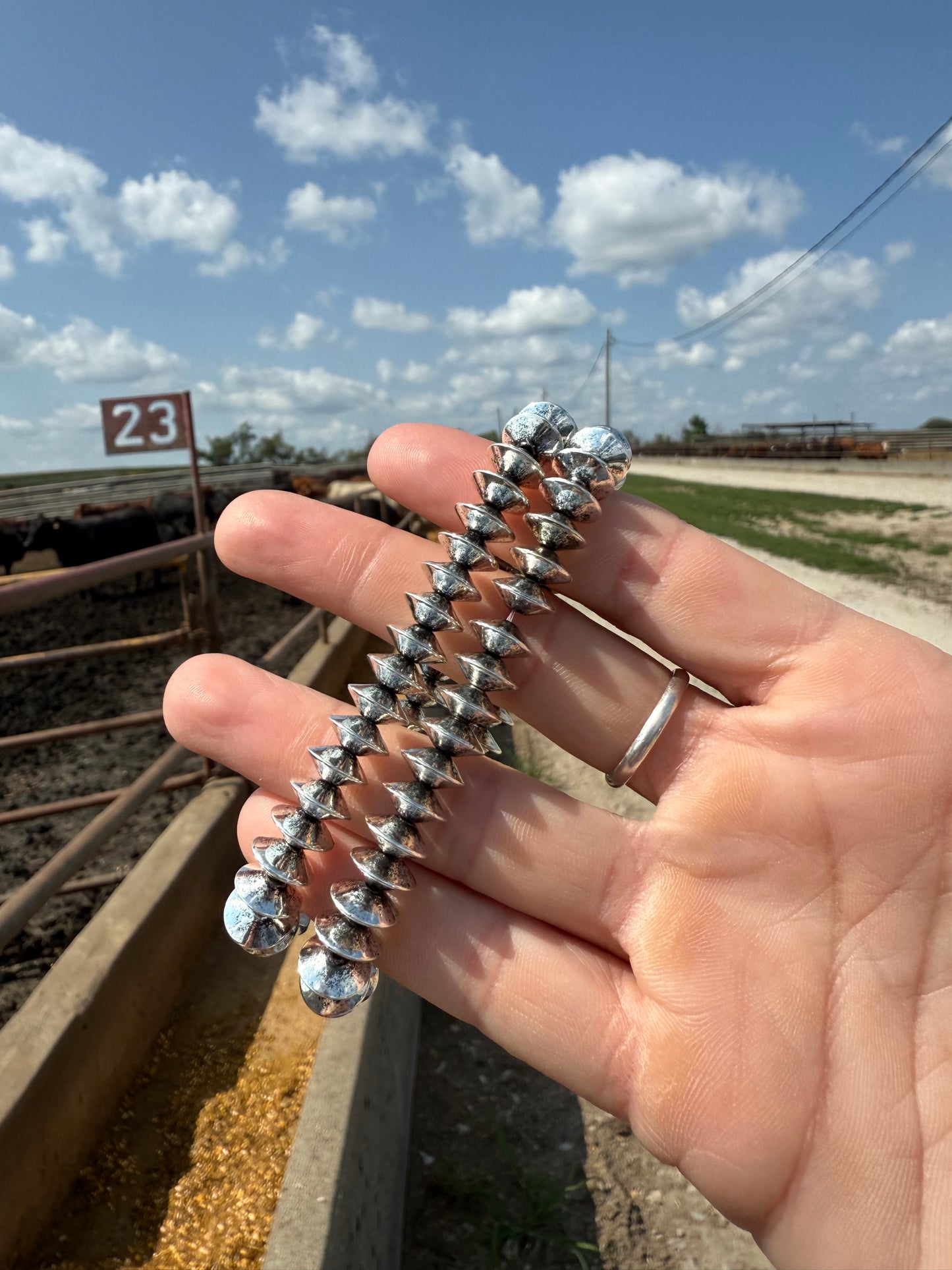 Ray Bracelets (set of 2)