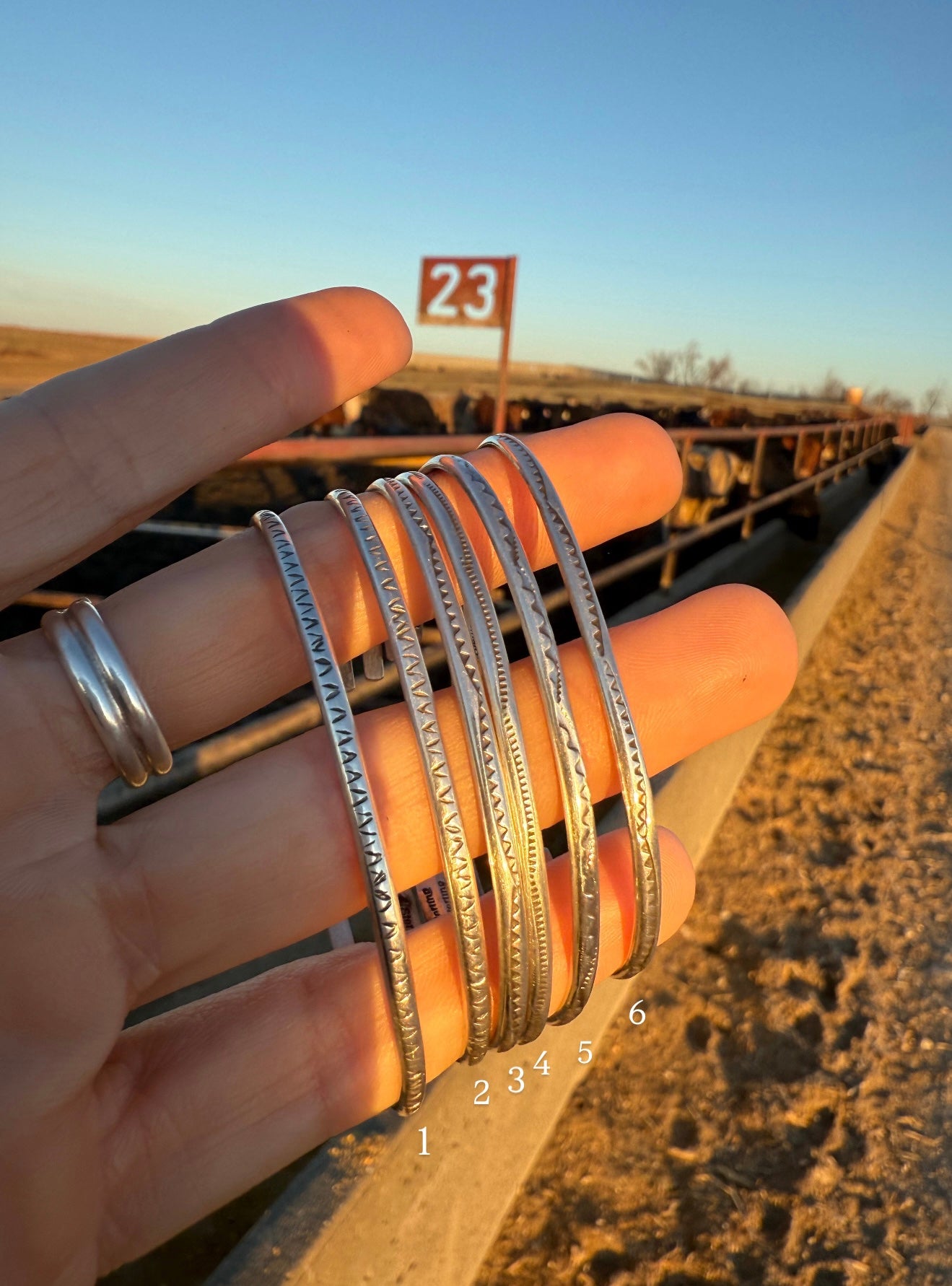 Bracelets – Pen 23