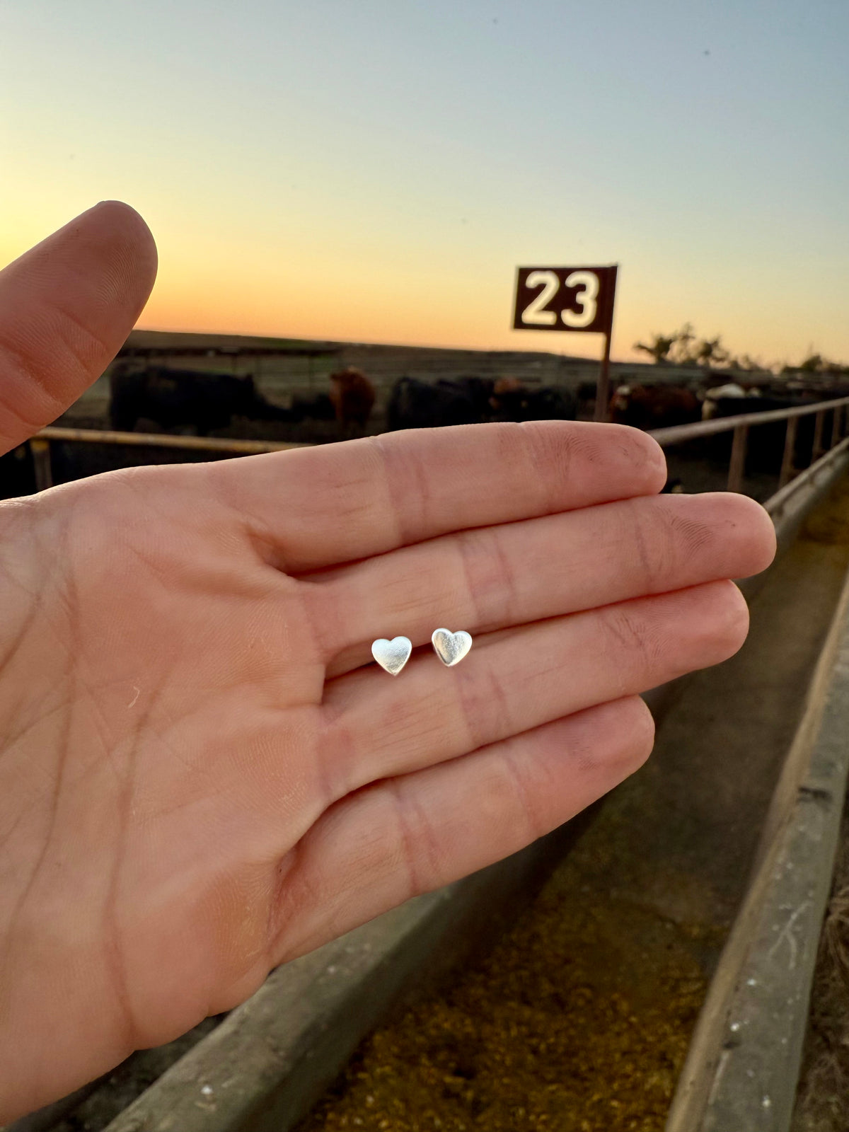 Heart Little Bitty Studs