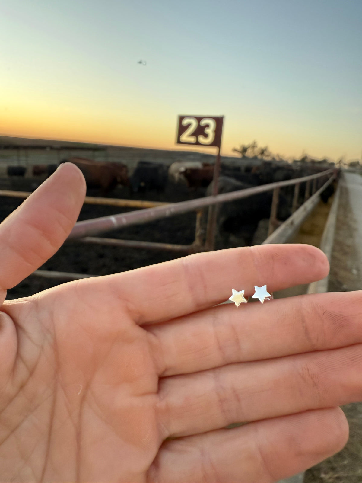 Star Little Bitty Studs