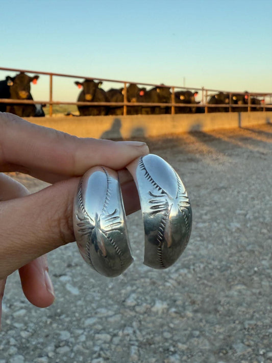 The Pony Express Hoops