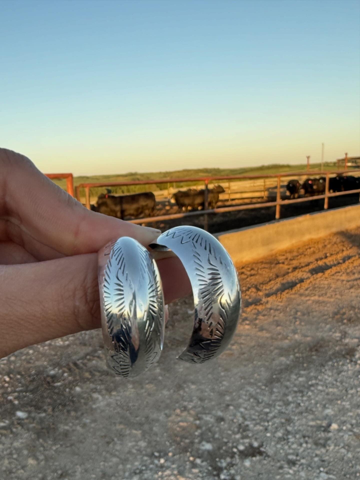 The Pony Express Hoops