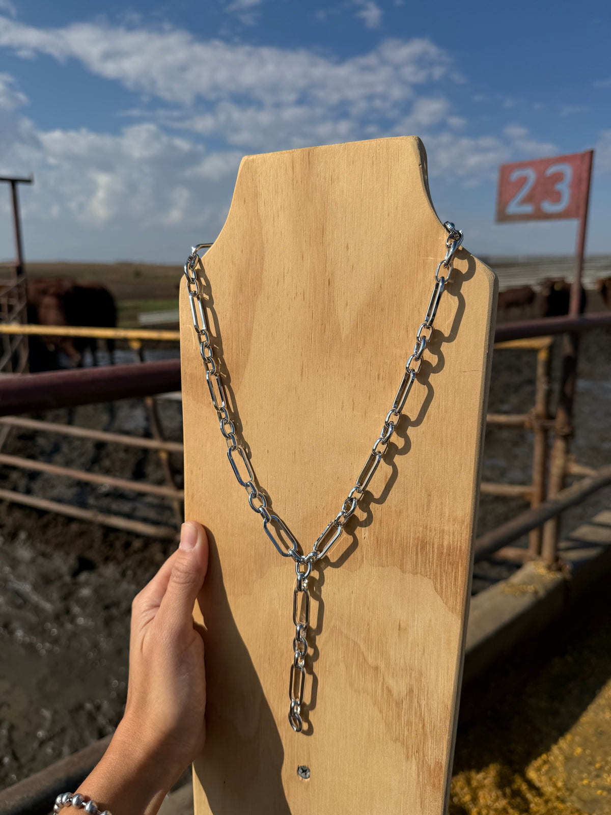 17” Lariat Necklace