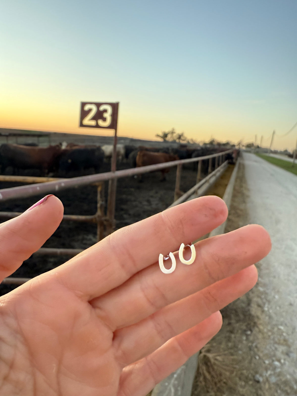 Horseshoe Little Bitty Studs