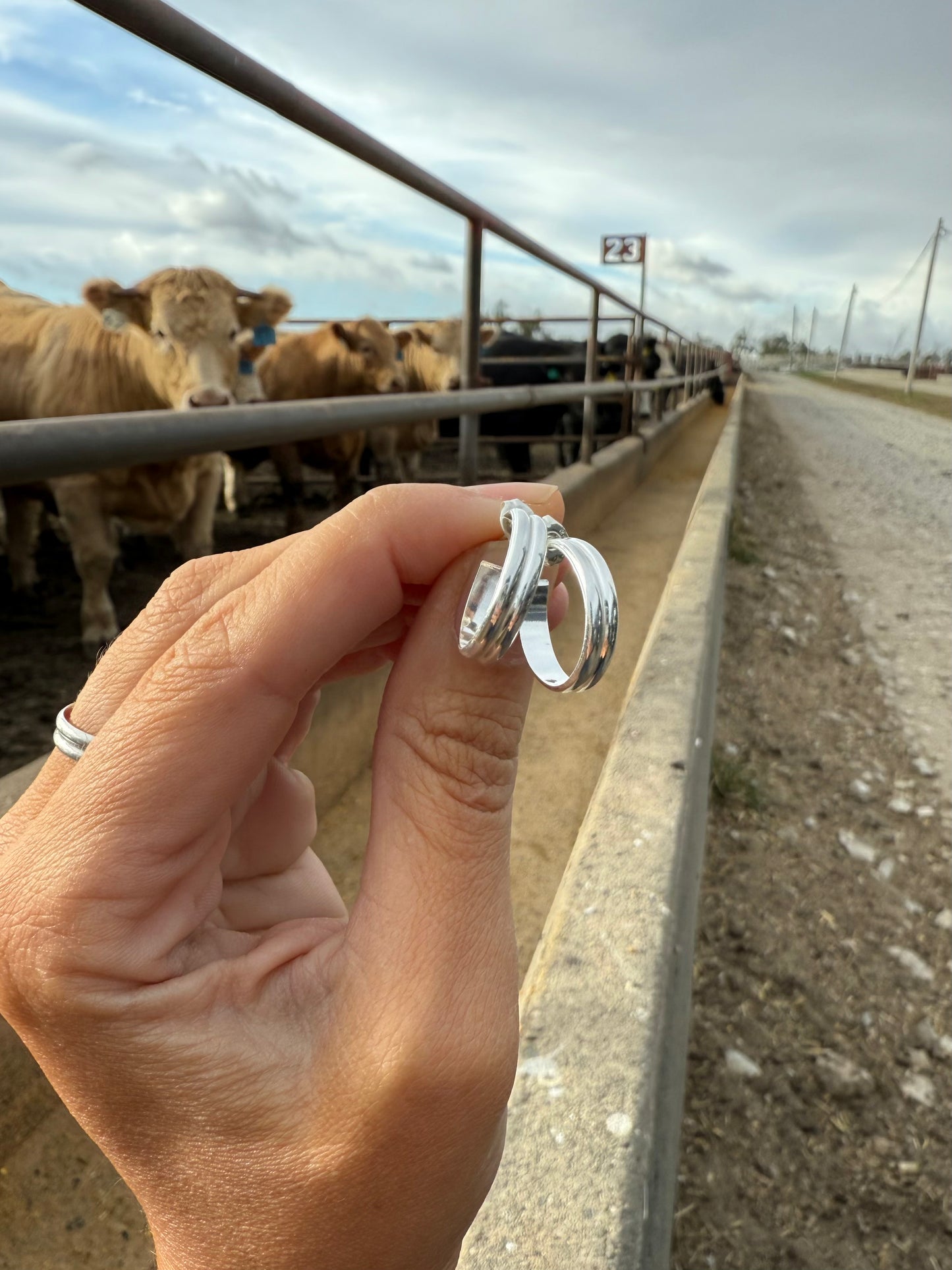 Double Band Stud Hoops