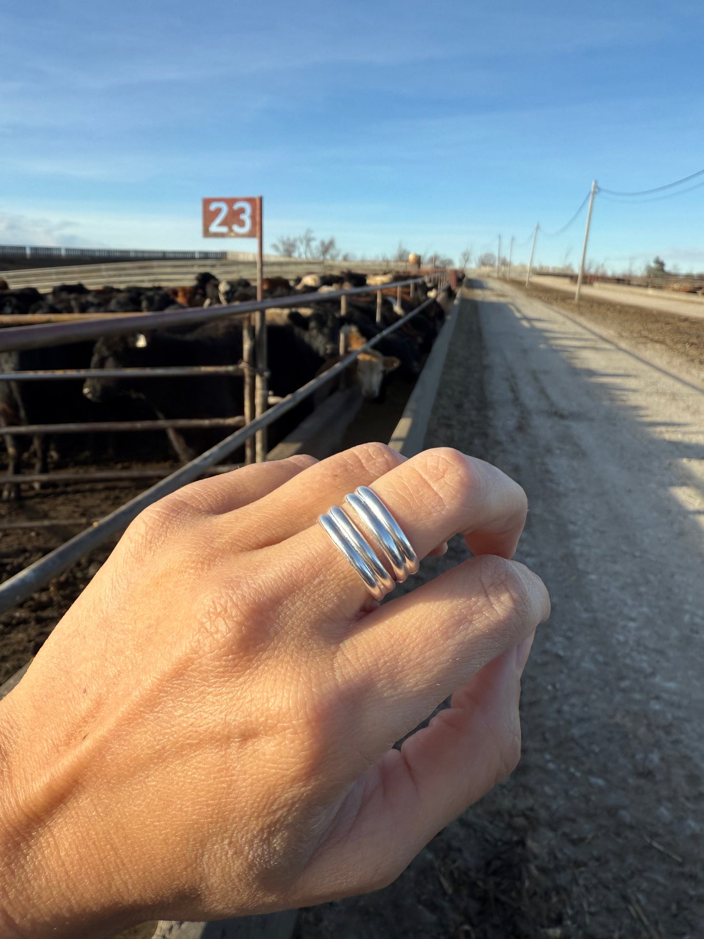 Double Band Stacker Ring