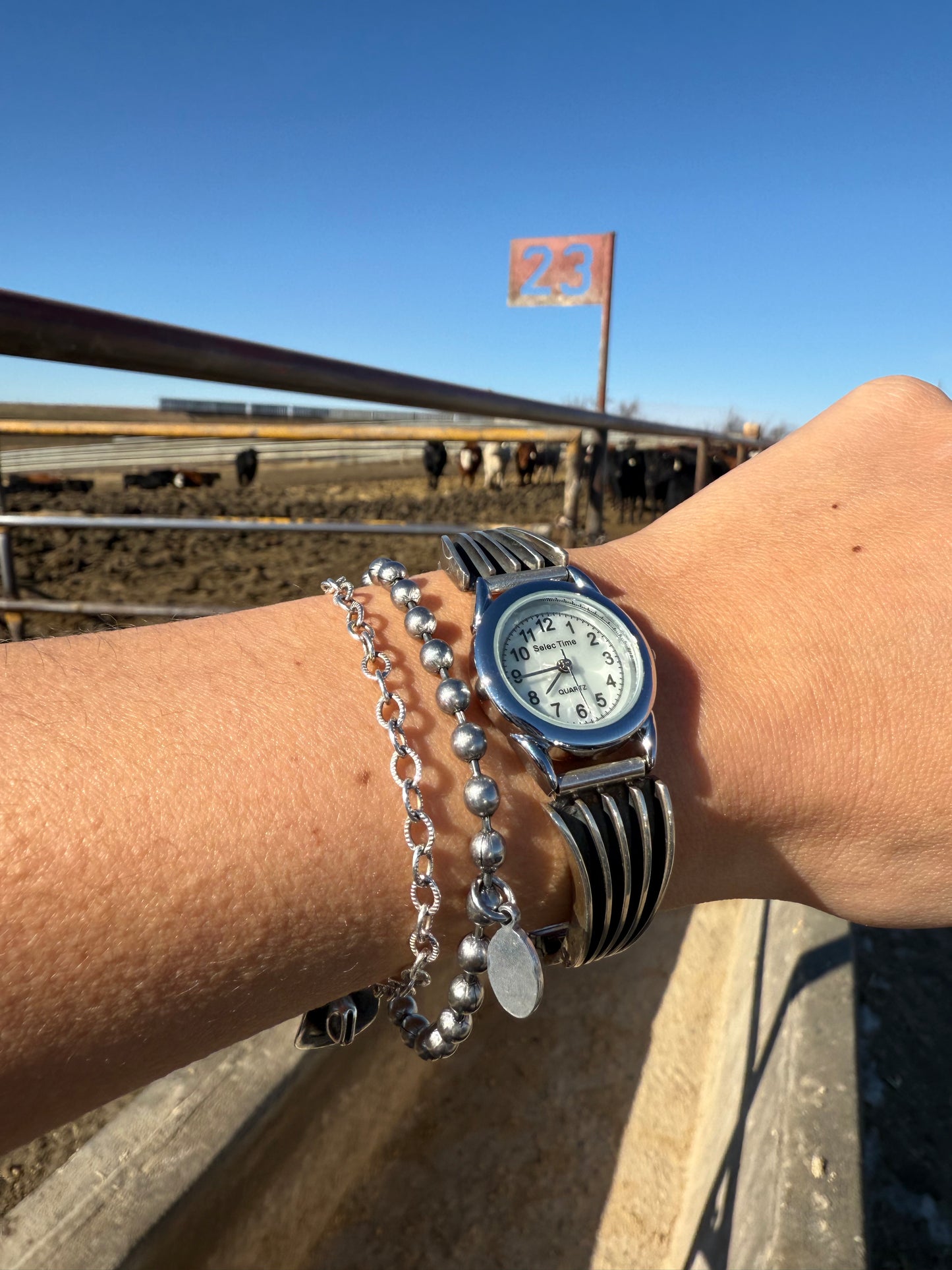 The Rawlins Watch